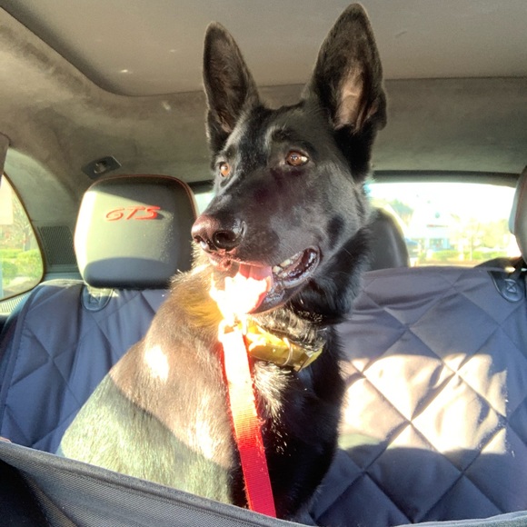 Meet your Posher, Adam - Picture 1 of 1